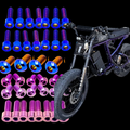 Super 73 Titanium Bolt Kit DevMoto